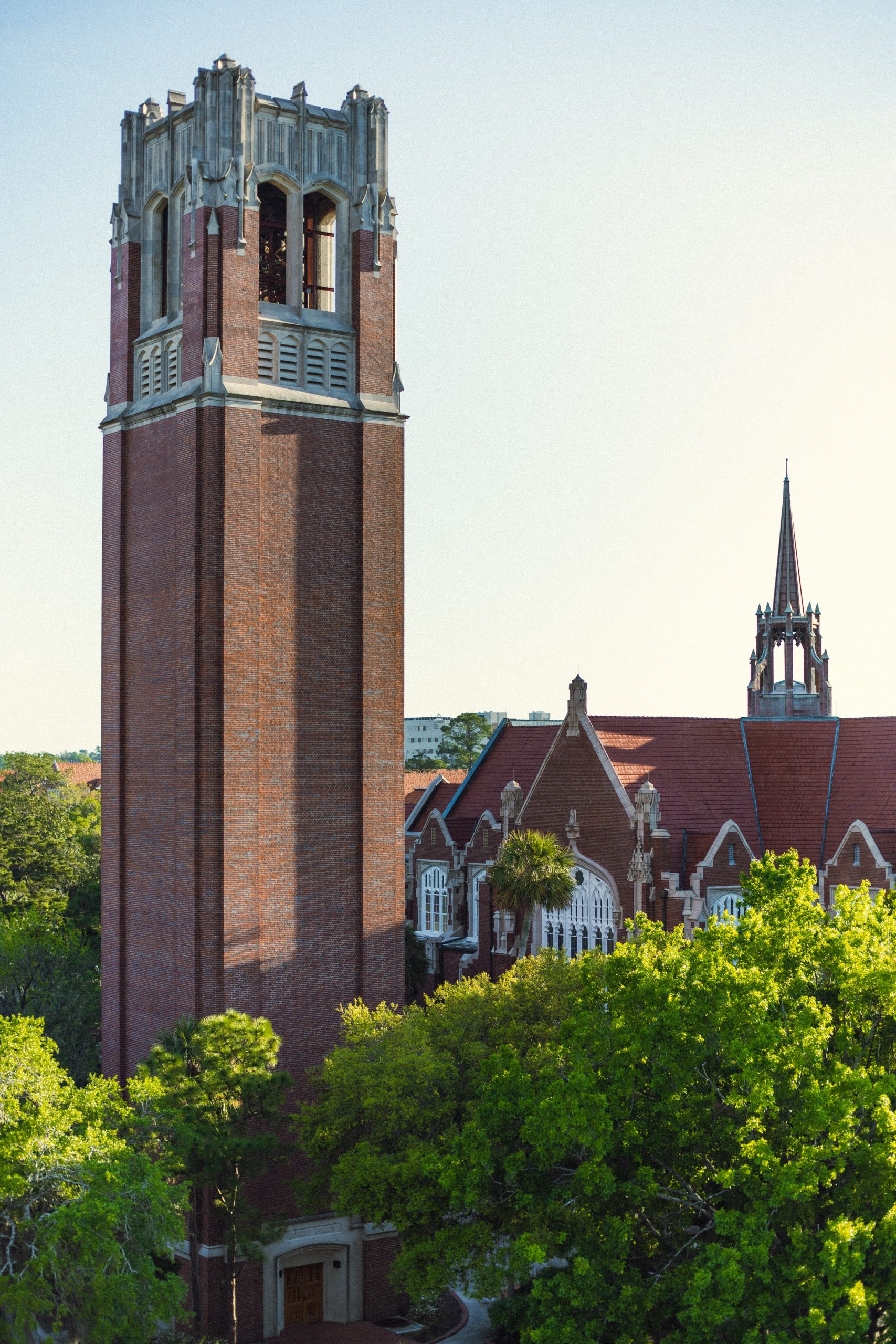 Photo of Century Tower on UF campus